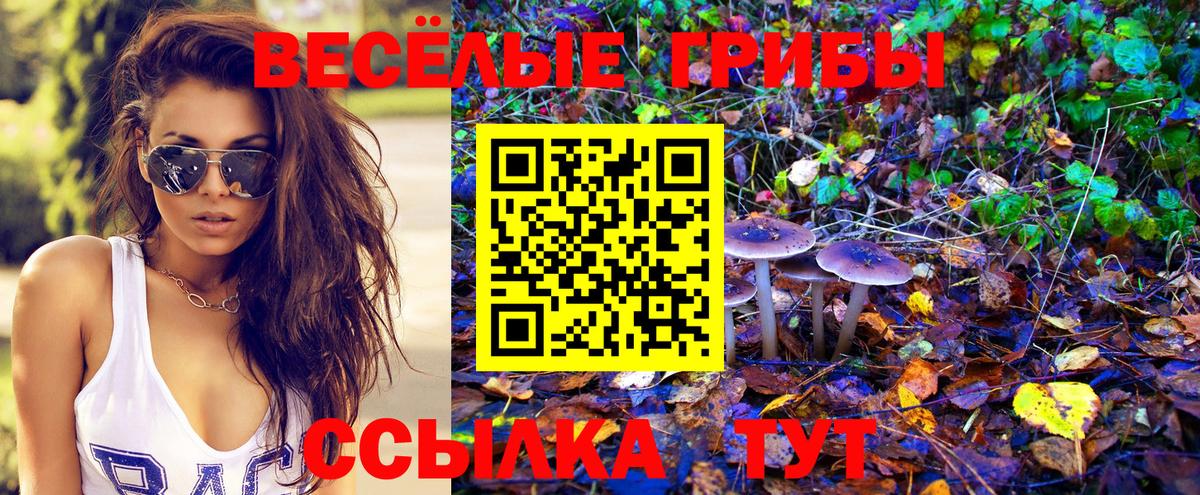 Галлюциногенные грибы мицелий Владикавказ