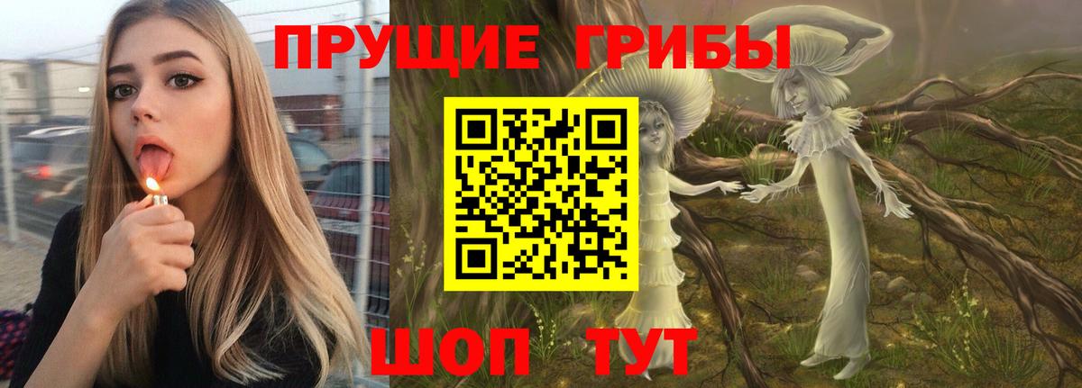 Псилоцибиновые грибы GOLDEN TEACHER  Вход с VPN  магазин  наркотиков  Владикавказ  Галлюциногенные грибы GOLDEN TEACHER 